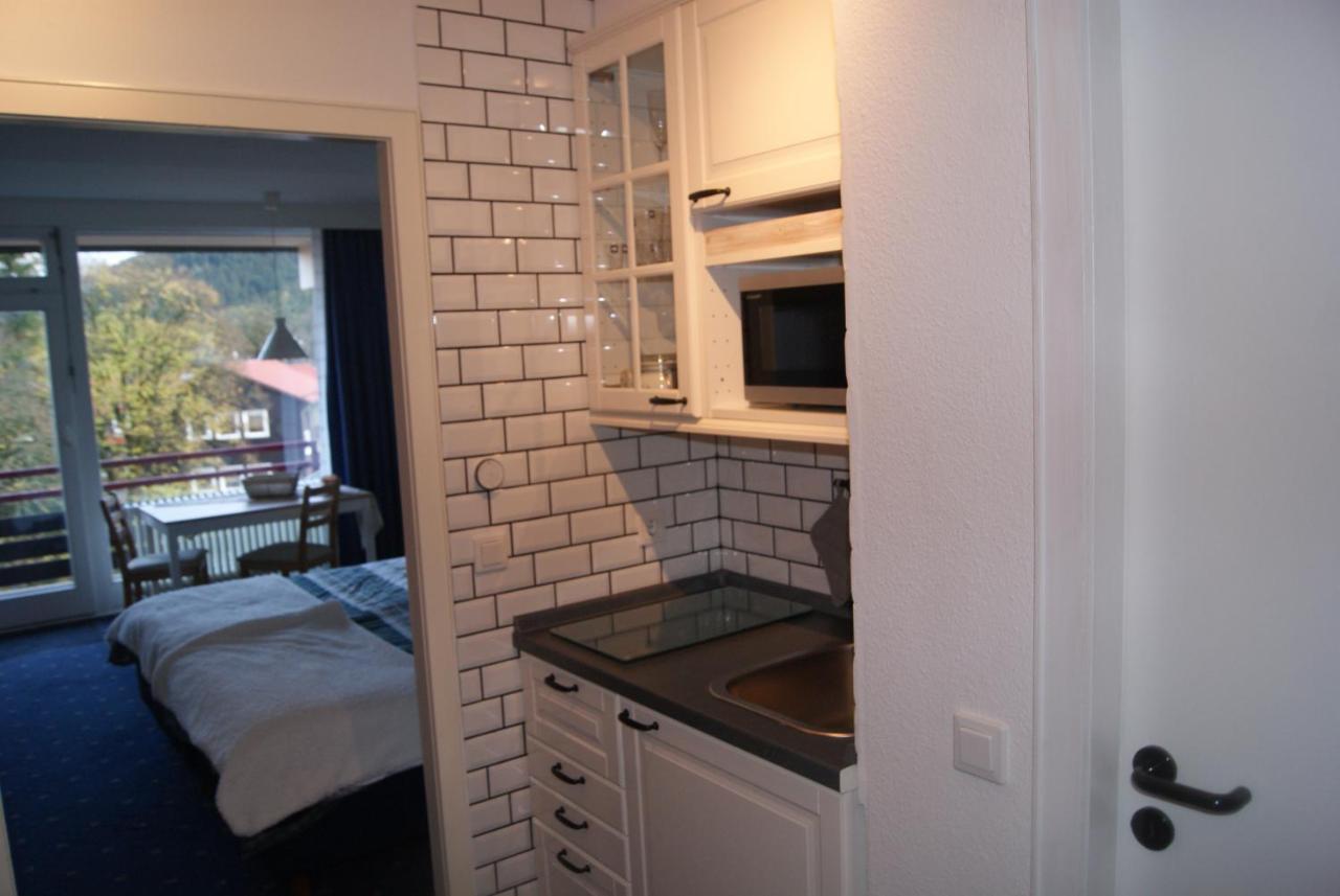 Bergblick471 Apartman Goslar Kültér fotó