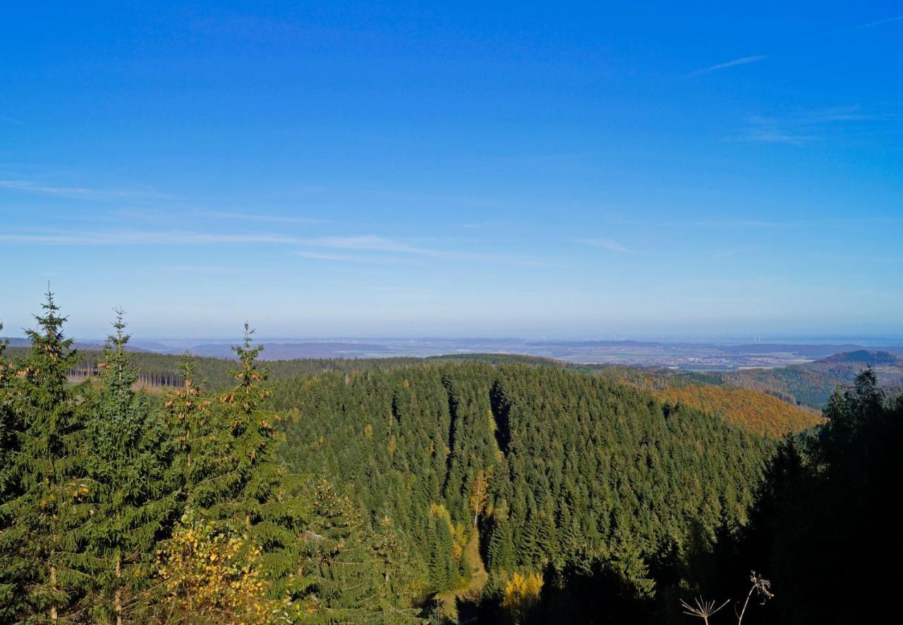 Bergblick471 Apartman Goslar Kültér fotó